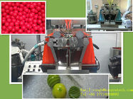 연약한 캡슐 제작자/마이크로 기름 윤활을 위한 20 kw 약제 기계장치