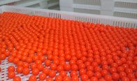 CS Paintball 자동 캡슐화 기계/정확한 제어 시스템/8000 - 32000/H