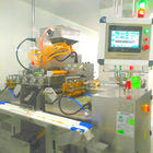 액체 캡슐 충전물을 위한 15kg/H 3.5RPM 약제 기계장치