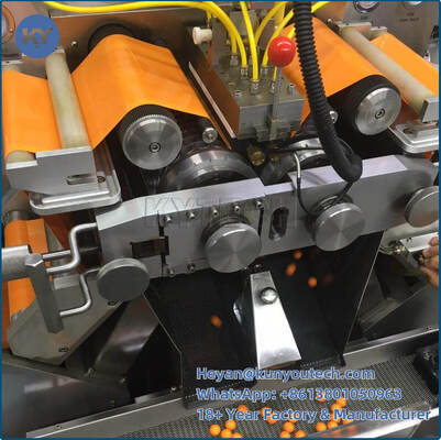 품질  18000P Paintball Automatic Vgel Encapsulation Machine S406PB ISO9001 공장