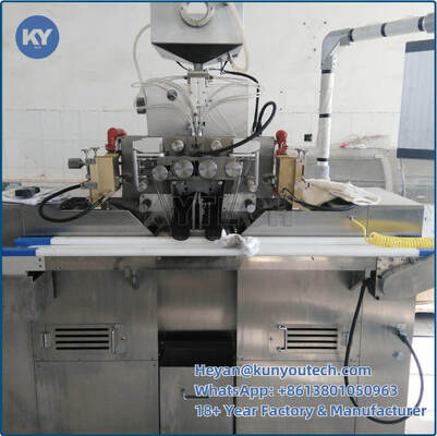품질  3 Kw Small Batch Soft Capsule Making Machine For Laboratory 공장