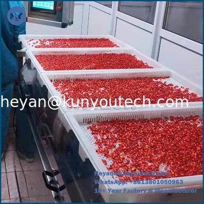 품질  Food Grade Plastic tray and trolly with size 750*550*45 for drying in discoult 공장