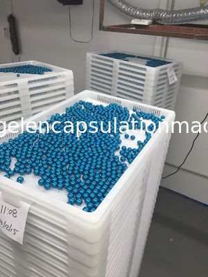 터치스크린을 가진 저잡음 PLC 통제 Paintball 캡슐에 넣기 기계
