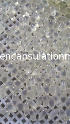 3Kw 약제 Softgel 충전물 기계 캡슐 제조 기계