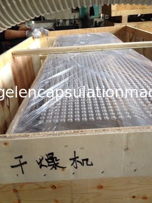 텀블러 건조기 Softgel Net 자동 충전 건조 SUS 580 * 600mm