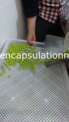 큰 기류 PLC 터치스크린을 가진 전기 가득 차있는 자동적인 캡슐 충전물 기계