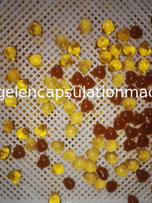 PLC 통제를 가진 액체 채우는 Softgel 캡슐에 넣기 장비 공장 약제