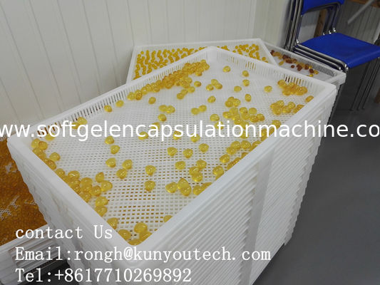 ISO9001 PPE 75 * 55 * 5cm 플라스틱 건조 트레이