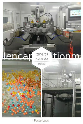 PID 통제를 가진 관례 50/60HZ 페인트볼 캡슐에 넣기 기계