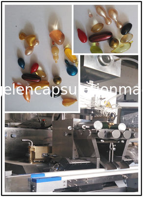 PLC와 터치스크린을 가진 softgel와 painball 생산을 위한 20kw 대규모 의학 Softgel 캡슐에 넣기 기계
