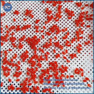 스테인레스 스틸 캡슐 검사기