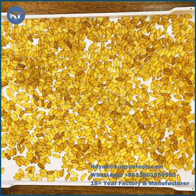 캡슐 사탕을 위한 ISO9001 PPE 플라스틱 건조용 쟁반 75 * 55 * 5cm