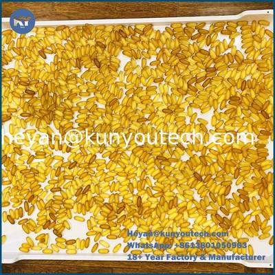 PP/ABS 재질 평면 바닥 플라스틱 건조 트레이 758x608x40mm, 캡슐 건조용