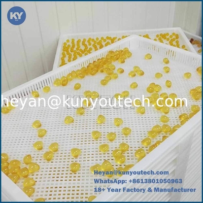 PP ABS 식품 등급 플라스틱 건조판 758x608x40mm