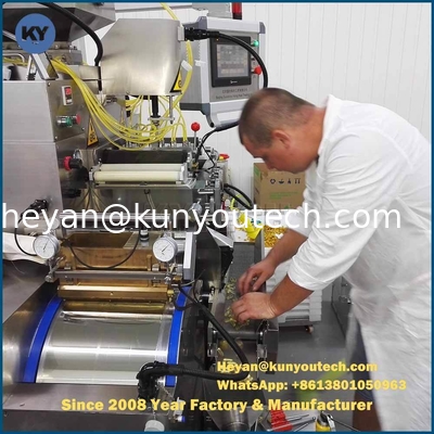 13kw 자동 소프트 젤 캡슐화 기계 12 플랑저