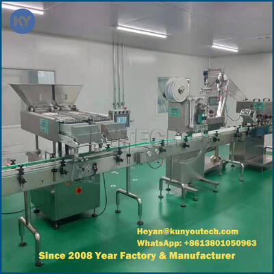 정제 캡슐 자동 충전물 기계 다 진동 판 병 포장