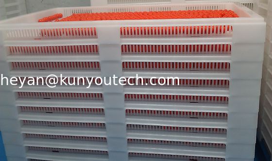 백색 음식 급료 쌓을 수 있는 플라스틱 쟁반/냉각 쟁반 762*495*55mm