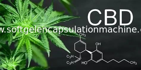 CBD 오일 충전 미국 시장을 위한 자동 Softgel 캡슐화 기계 실험실 사용