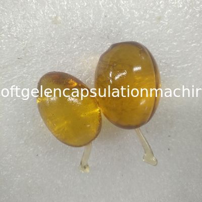 10 인치 대규모 어유 Softgel 캡슐 기계/캡슐화 기계 S610