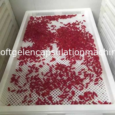 Softgel 캡슐과 Paintball를 위한 백색 음식 급료 플라스틱 건조용 쟁반