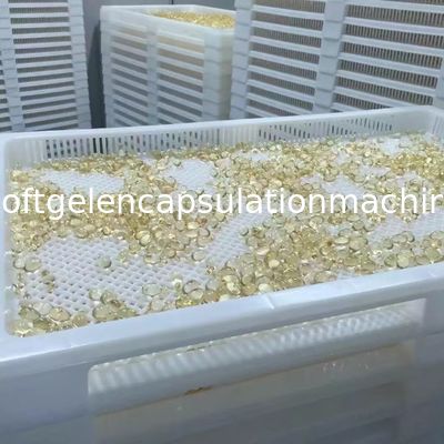 어유 Softgel 캡슐에 넣기 기계 1208년 * 2450mm 차원 120000 PC/H