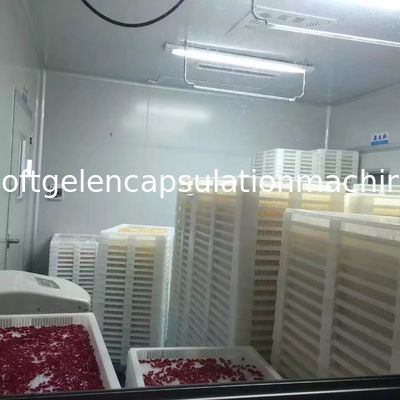 연약한 캡슐 S403 만들기를 위한 작은 Softgel 캡슐에 넣기 기계 생산 라인