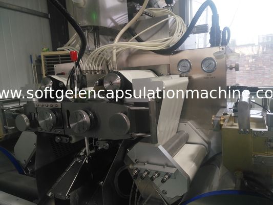 PLC 통제 캡슐 제조 기계 약제 1 년 보장