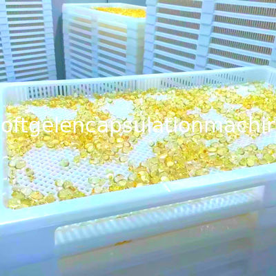 작은 시작 어유 12000pcs/H Softgel 캡슐에 넣기 기계