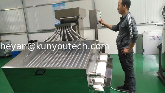 제약업계를 위한 연질 젤 정제 00# 소형 소팅 머신