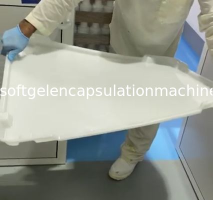 캡슐 사탕을 위한 ISO9001 PPE 플라스틱 건조용 쟁반 75 * 55 * 5cm