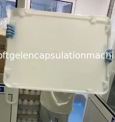 평평한 바닥 식품 등급 Ppe CE 5cm 플라스틱 건조 트레이