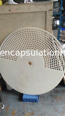Softgel 캡슐 검사 세고 포장기 1 년 보장