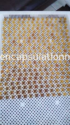 페인트 볼 건조용 플라스틱 건조 트레이