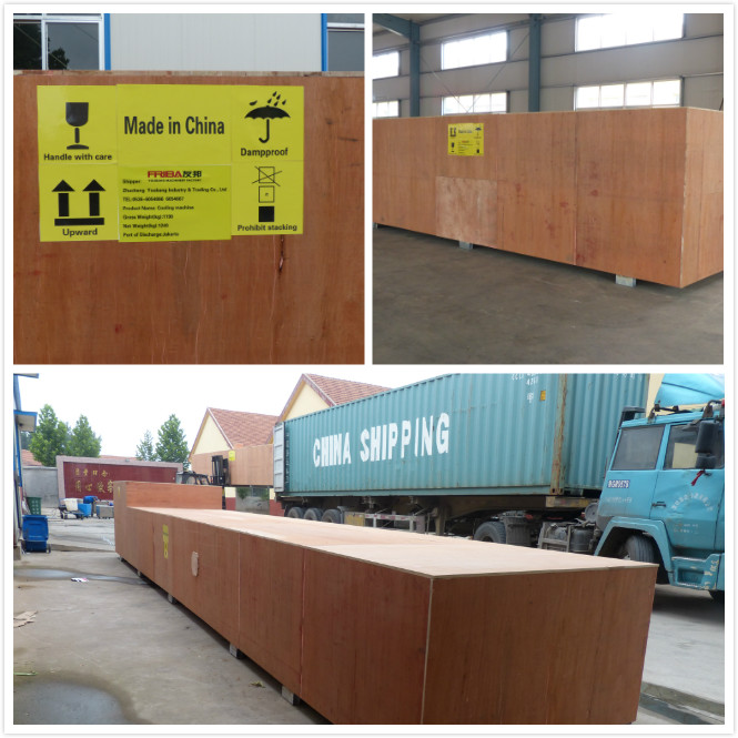 SS304 Softgel 캡슐화 생산 회전식 건조기 기계 7