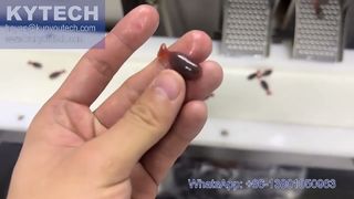 물고기 모양의 서보 소프트젤 캡슐화 기계